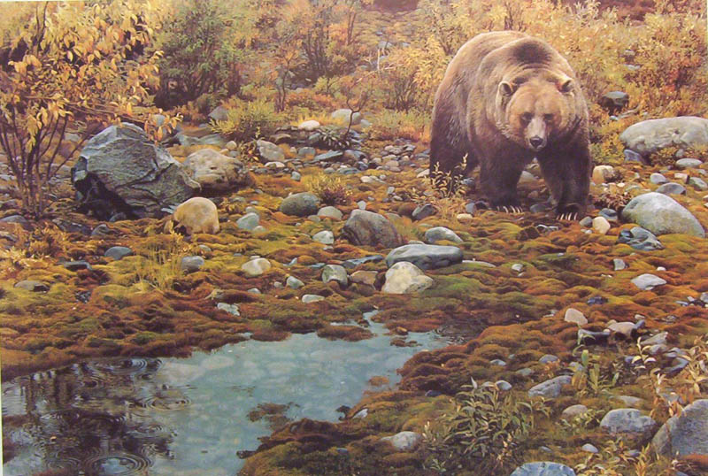 (image for) Handmade Oil painting for home canvas, oil painting framed canvas for living room Carl Brenders Paintings Trailblazer Grizzly Bea